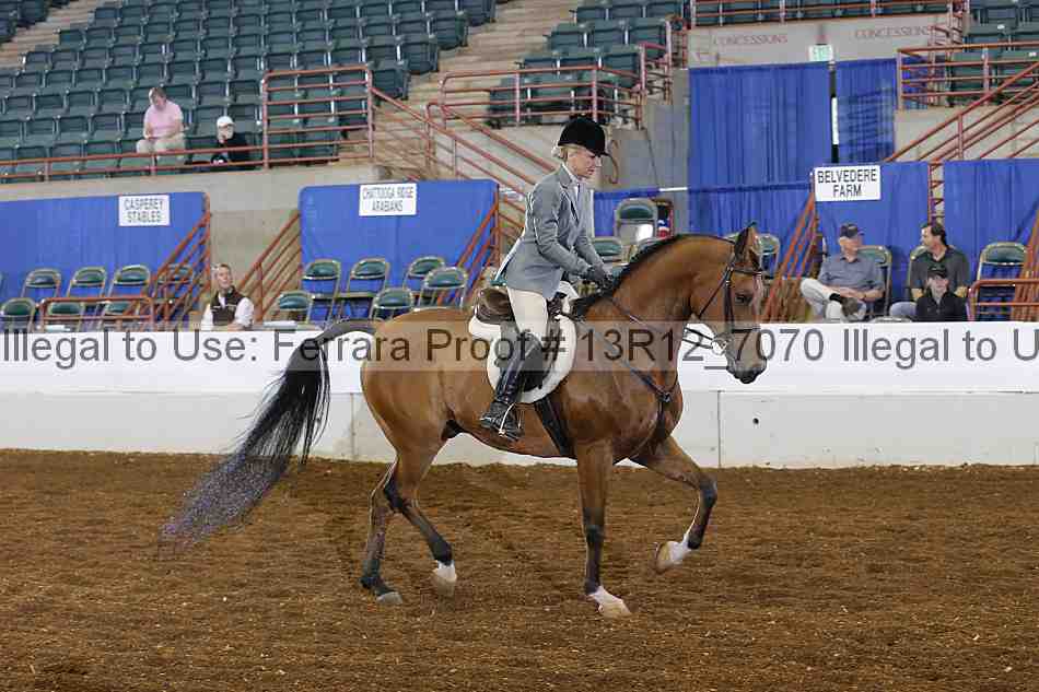 Proof Number 13r12_7070