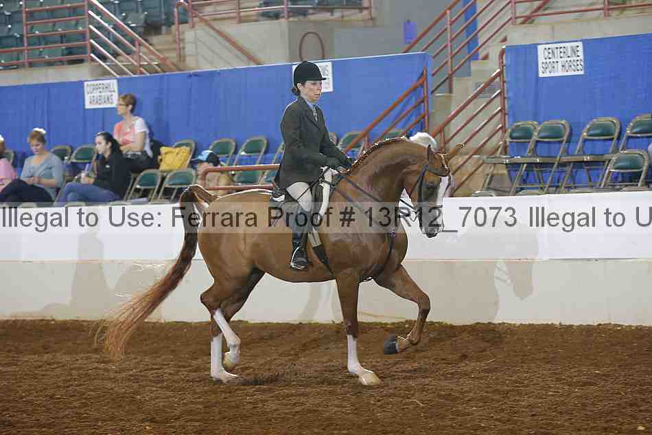 Proof Number 13r12_7073