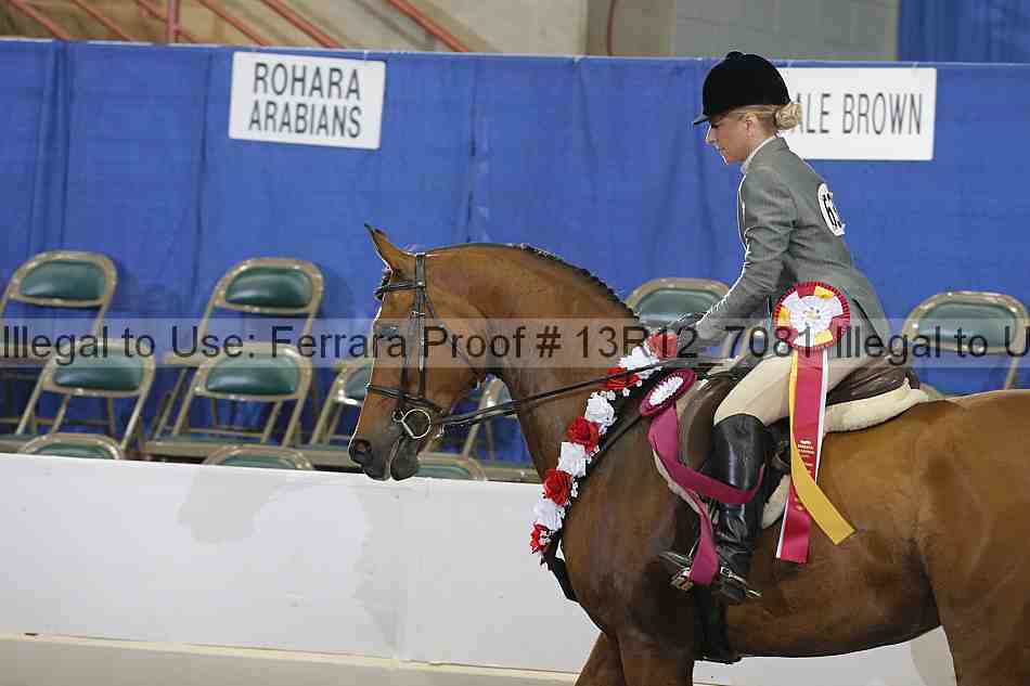 Proof Number 13r12_7081