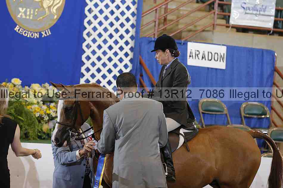 Proof Number 13r12_7086