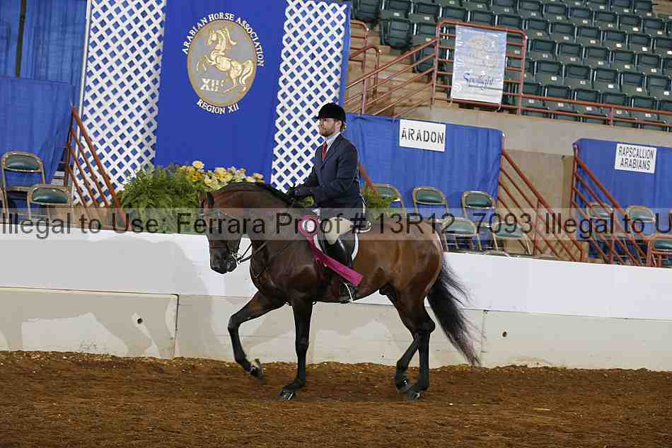 Proof Number 13r12_7093