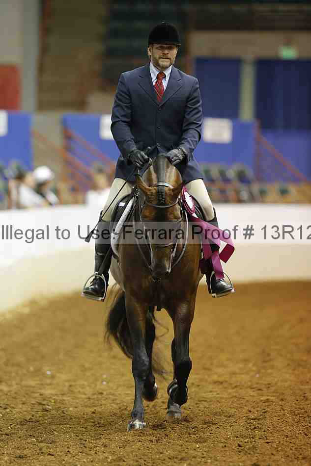 Proof Number 13r12_7097