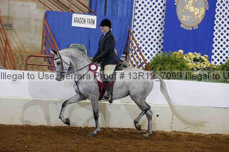 Proof Number 13r12_7099
