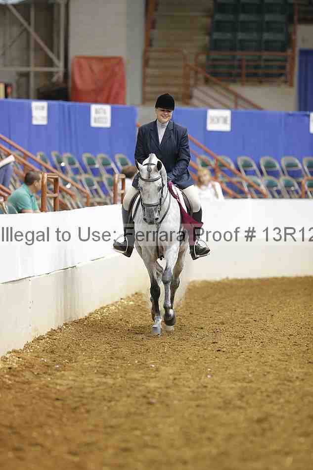 Proof Number 13r12_7100