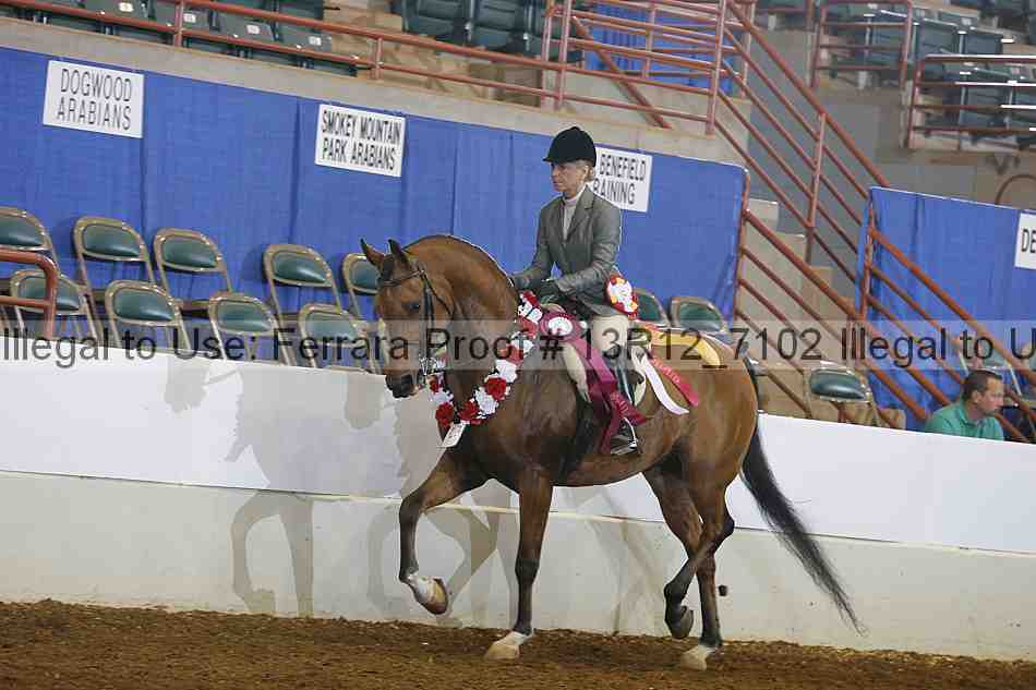 Proof Number 13r12_7102