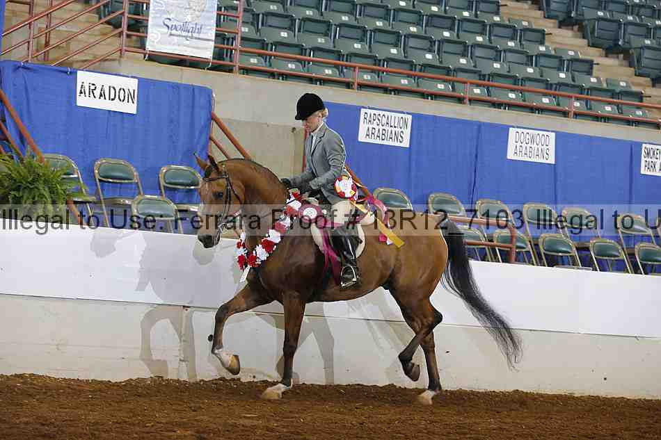 Proof Number 13r12_7103