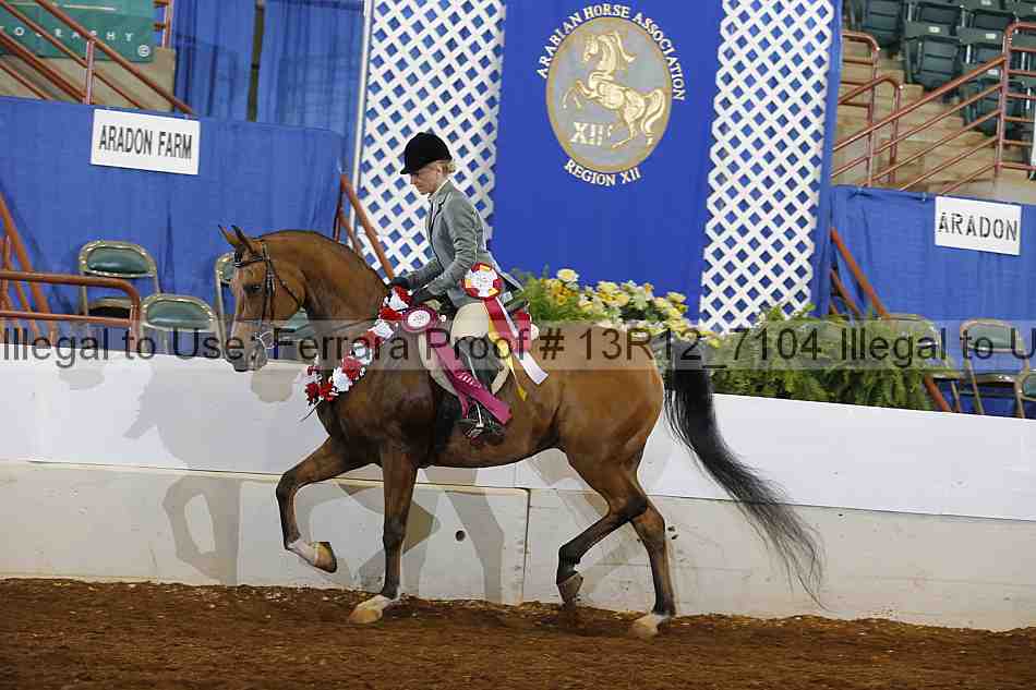 Proof Number 13r12_7104