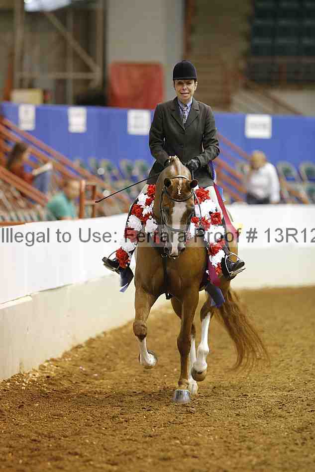 Proof Number 13r12_7109