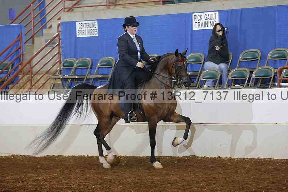Proof Number 13r12_7137