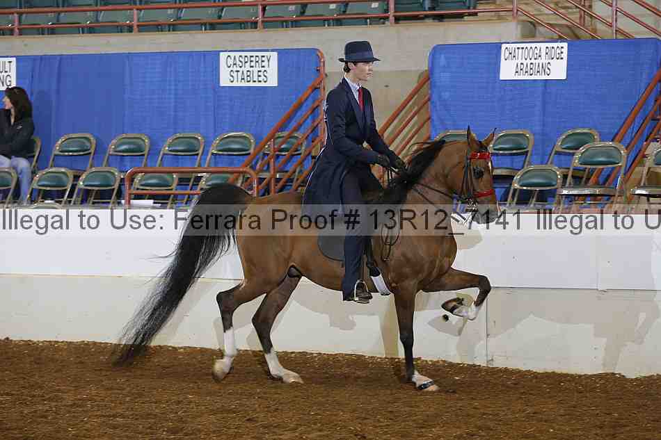 Proof Number 13r12_7141