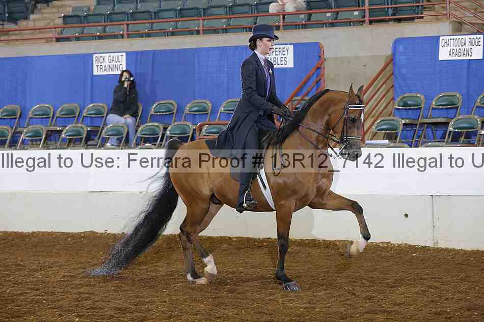 Proof Number 13r12_7142