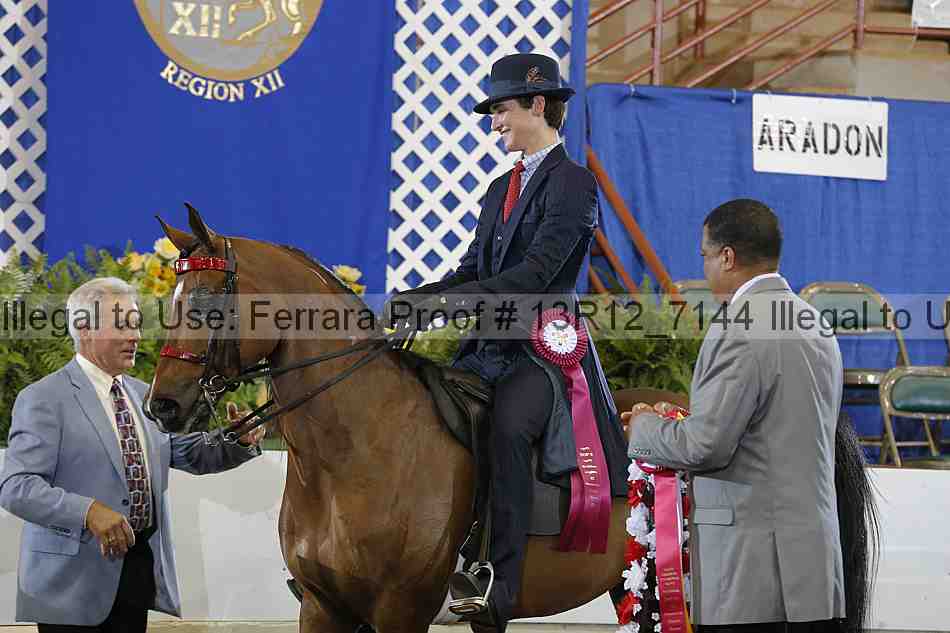 Proof Number 13r12_7144