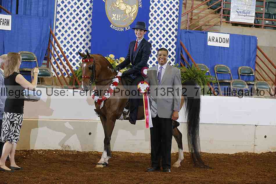 Proof Number 13r12_7146