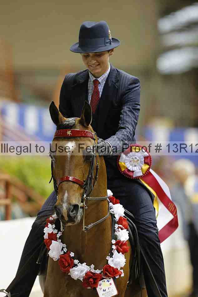 Proof Number 13r12_7151