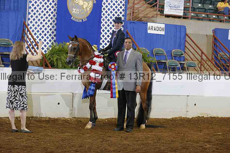 Proof Number 13r12_7155