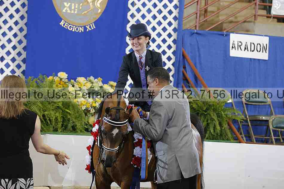 Proof Number 13r12_7156