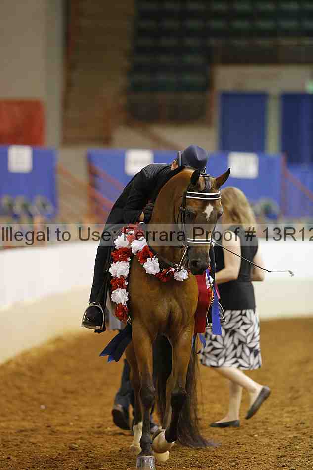 Proof Number 13r12_7159