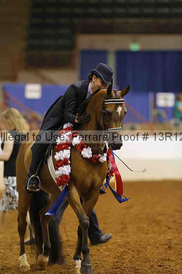 Proof Number 13r12_7160