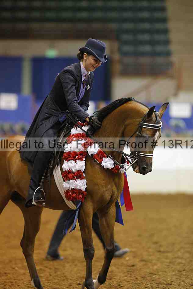 Proof Number 13r12_7161