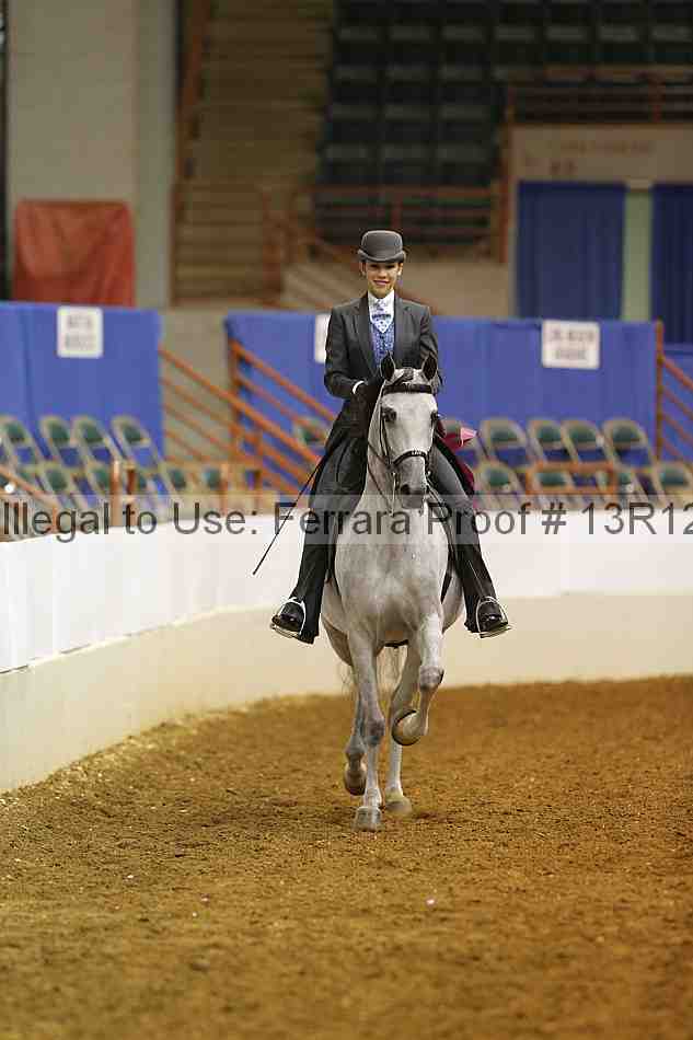 Proof Number 13r12_7166