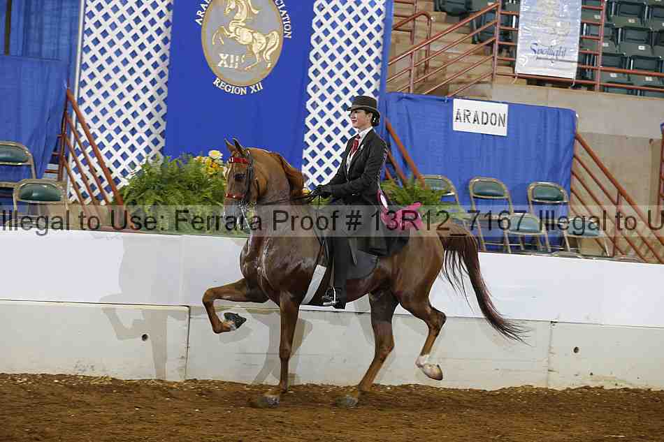 Proof Number 13r12_7167