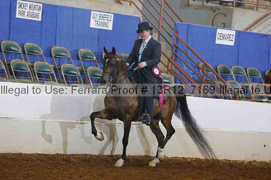 Proof Number 13r12_7169