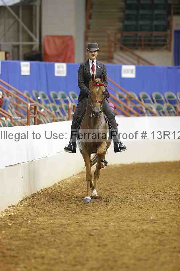Proof Number 13r12_7170