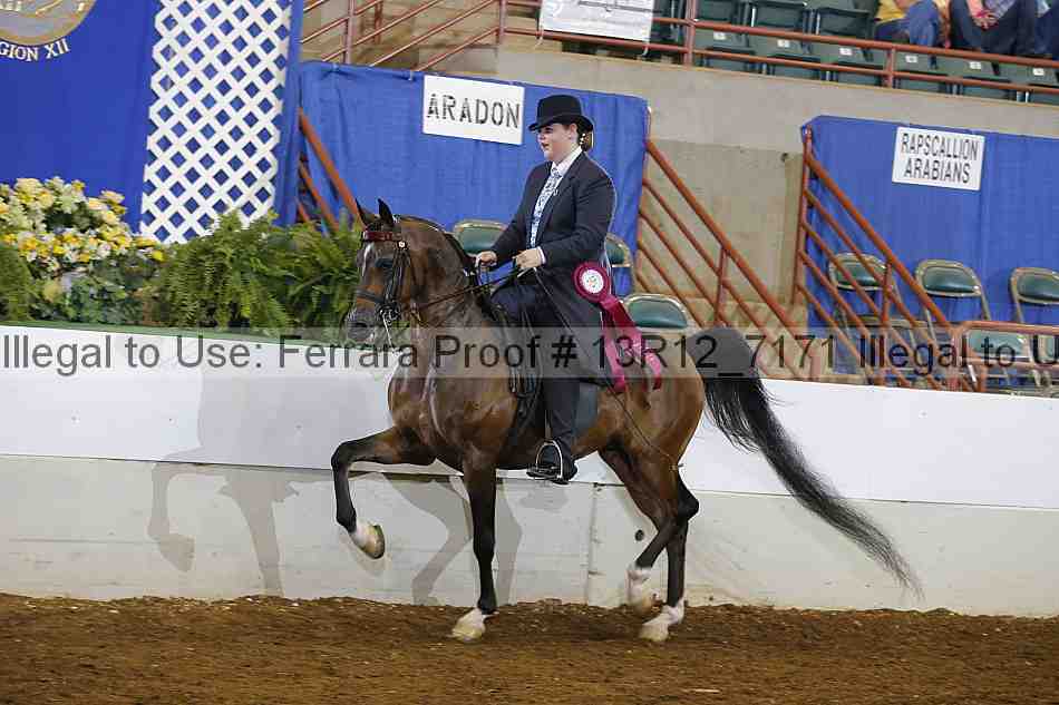 Proof Number 13r12_7171