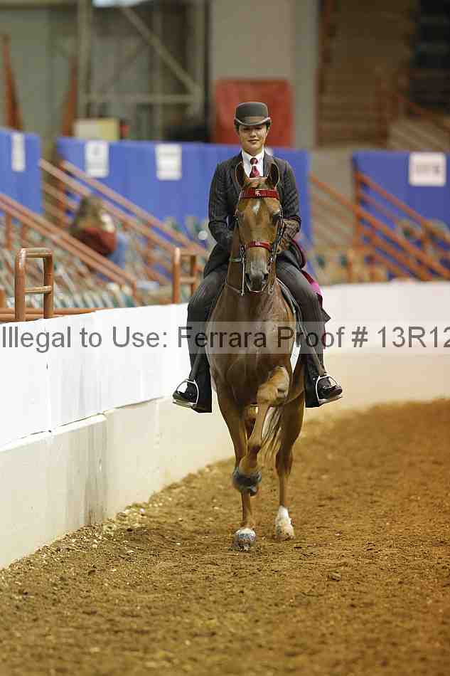Proof Number 13r12_7172