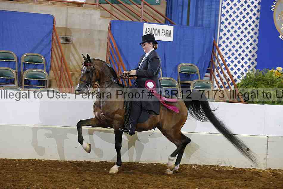 Proof Number 13r12_7173