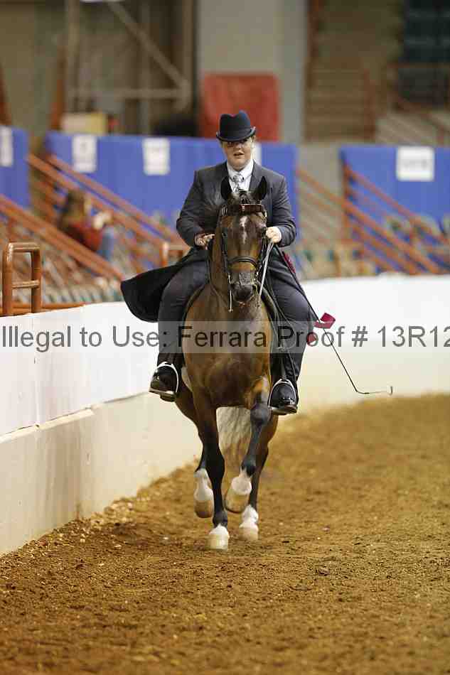 Proof Number 13r12_7174