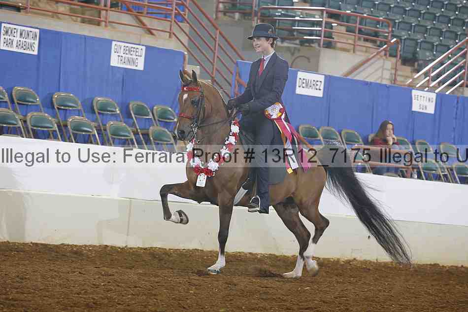 Proof Number 13r12_7175
