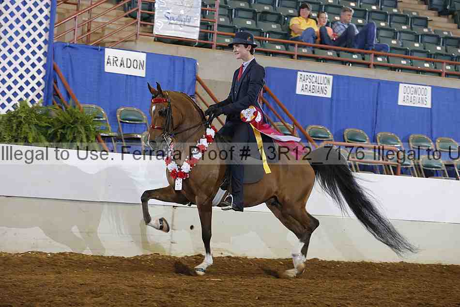 Proof Number 13r12_7176
