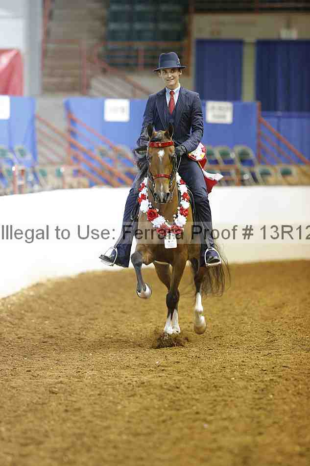 Proof Number 13r12_7177