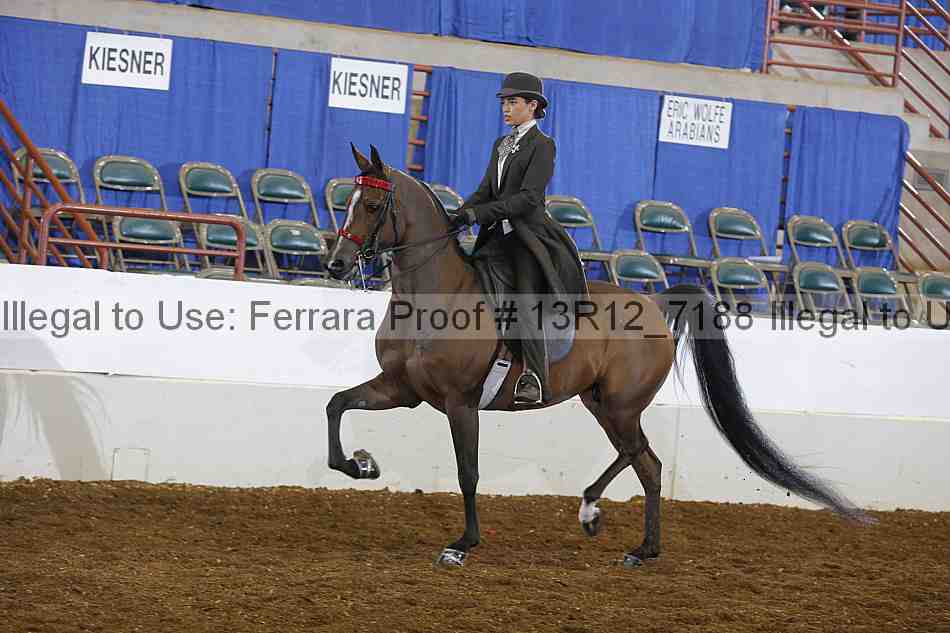 Proof Number 13r12_7188