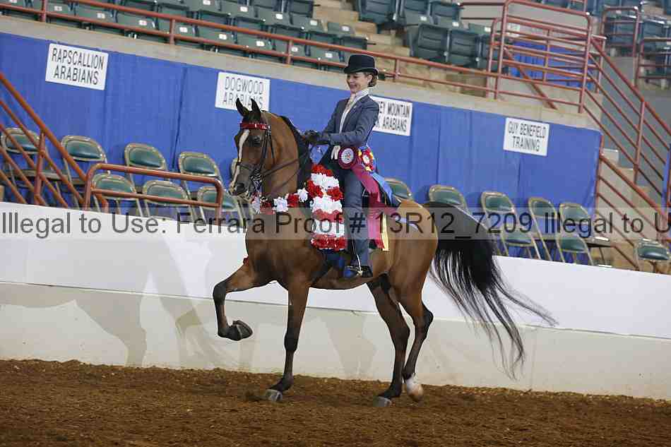 Proof Number 13r12_7209