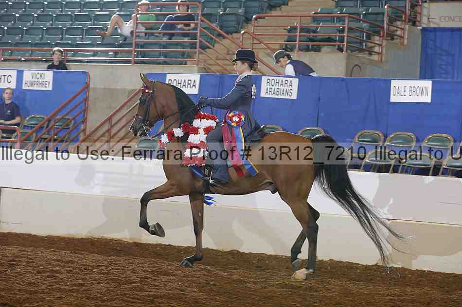 Proof Number 13r12_7210