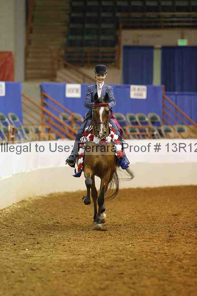 Proof Number 13r12_7211