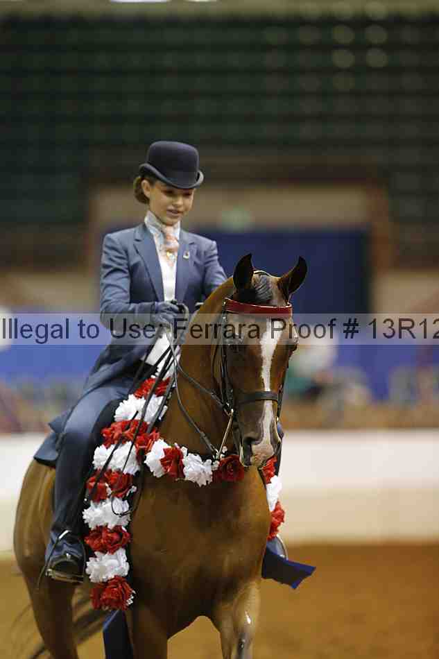 Proof Number 13r12_7212