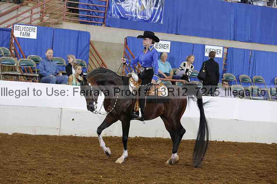 Proof Number 13r12_7245
