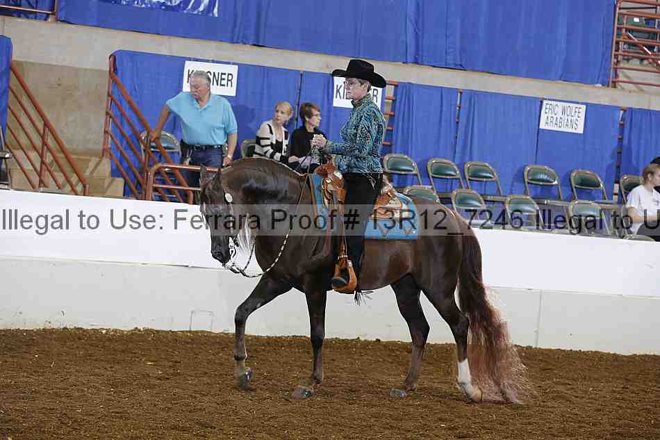 Proof Number 13r12_7246