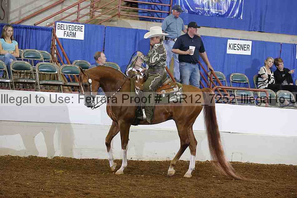 Proof Number 13r12_7252