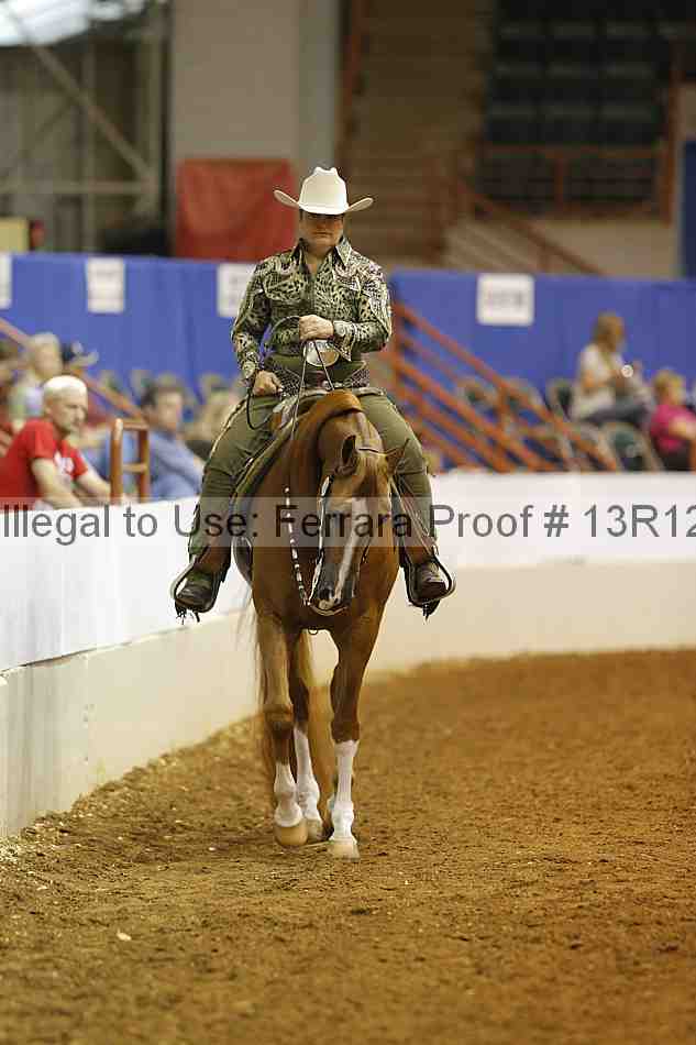 Proof Number 13r12_7268