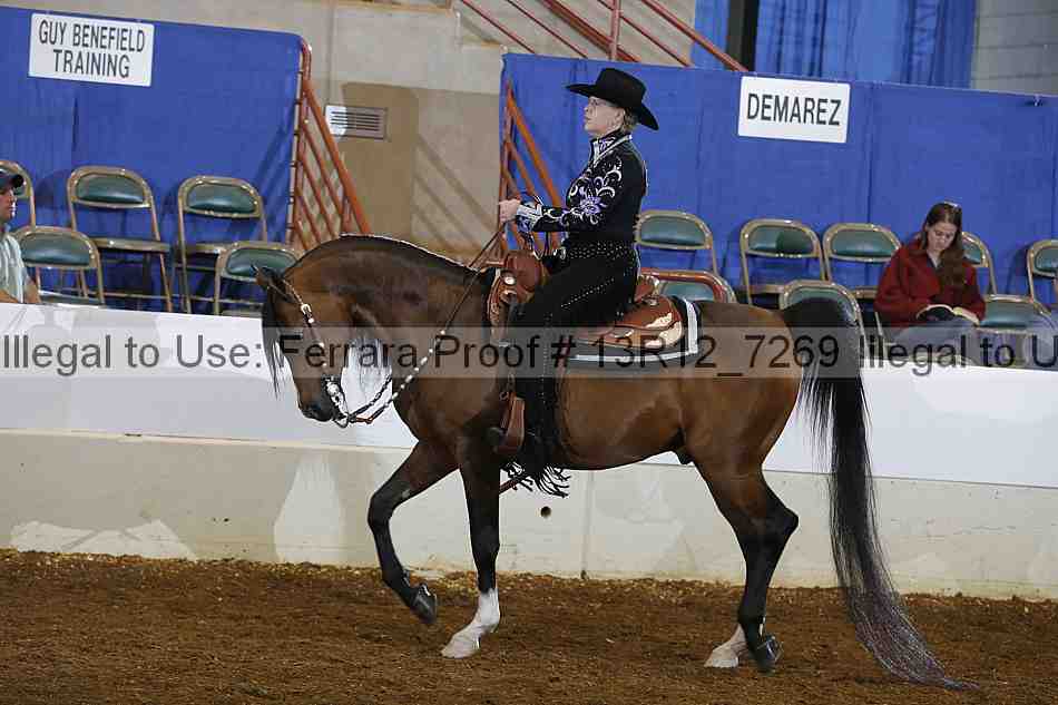 Proof Number 13r12_7269