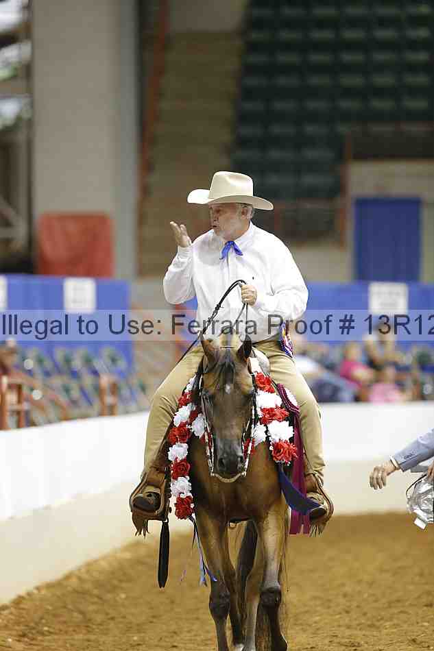 Proof Number 13r12_7287