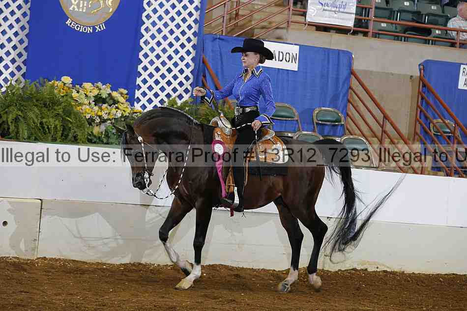 Proof Number 13r12_7293
