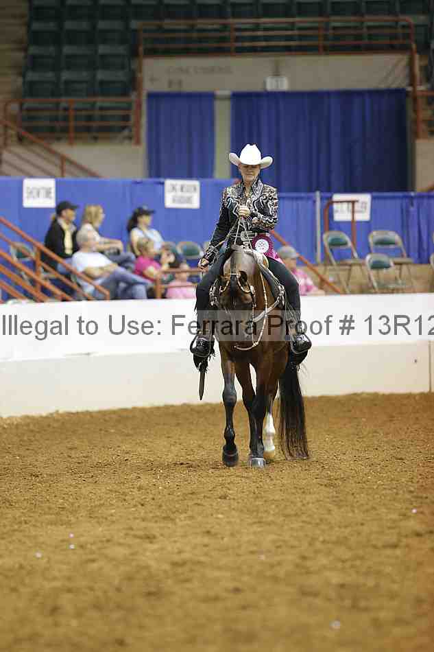 Proof Number 13r12_7298