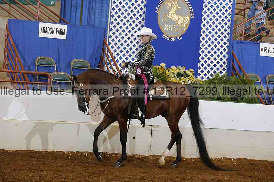 Proof Number 13r12_7299