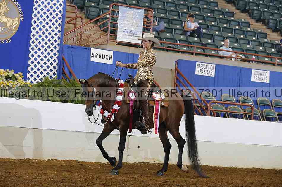 Proof Number 13r12_7301