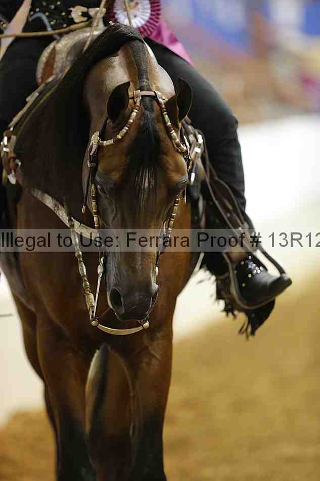 Proof Number 13r12_7302